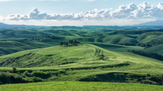 Copertina DCNF interattiva - paesaggio verde